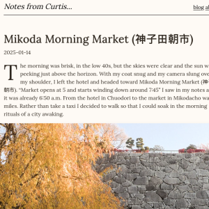 Notes from Curtis snapshot of website