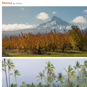 Photos by Curtis snapshot of website